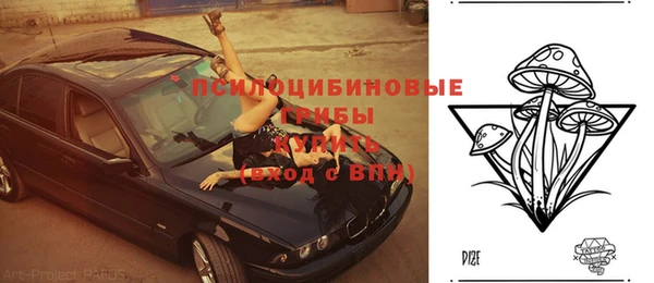 a pvp Михайловка