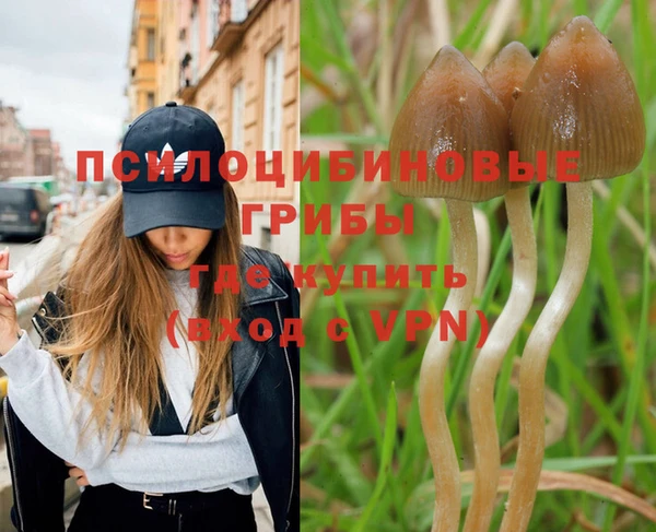 a pvp Михайловка