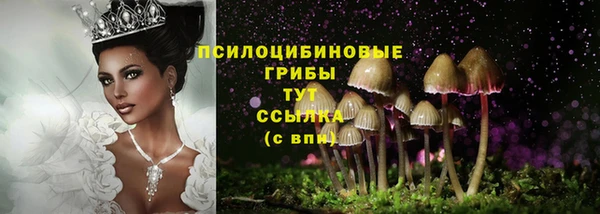 альфа пвп Михайловск