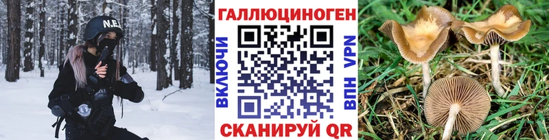 сколько стоит  hydra tor  Галлюциногенные грибы Magic Shrooms  Елизово 