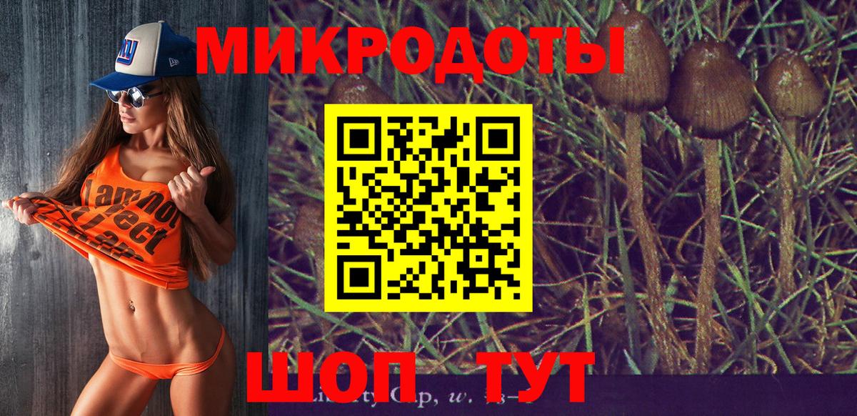 Псилоцибиновые грибы ЛСД  Вход с VPN  Елизово 