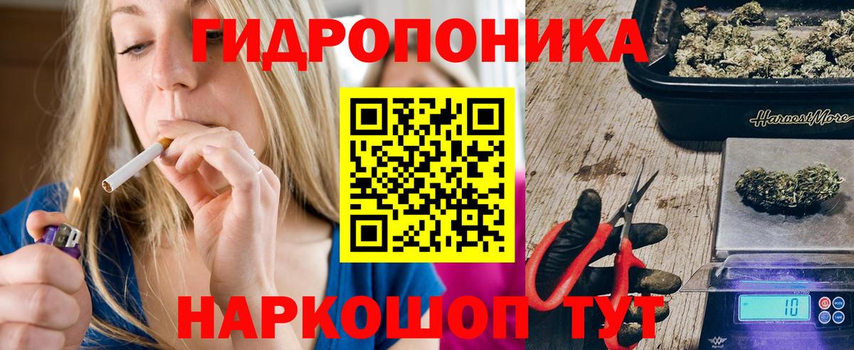 Бошки Шишки план  Конопля VHQ  МАРИХУАНА Bruce Banner  Вход с VPN  Елизово 